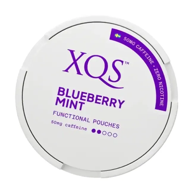XQS Blueberry Mint Zero
