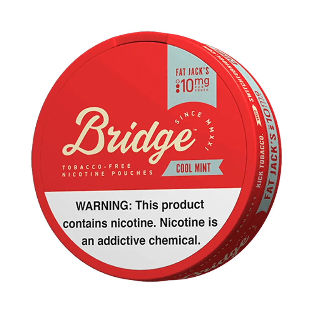 Bridge Cool Mint 10mg - Vinapouches