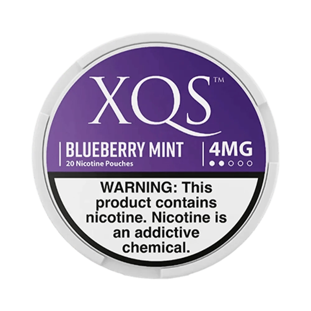 XQS Blueberry Mint 4mg - Vinapouches