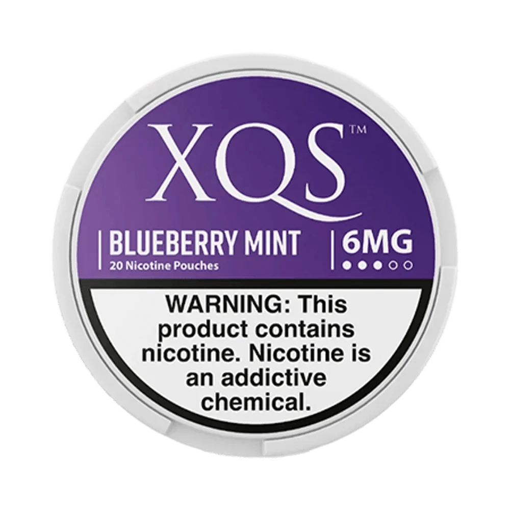 XQS Blueberry Mint 6mg - Vinapouches