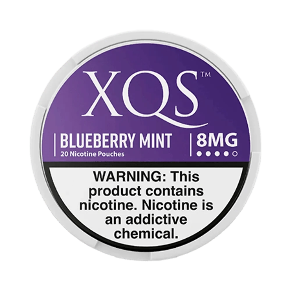 XQS Blueberry Mint 8mg - Vinapouches