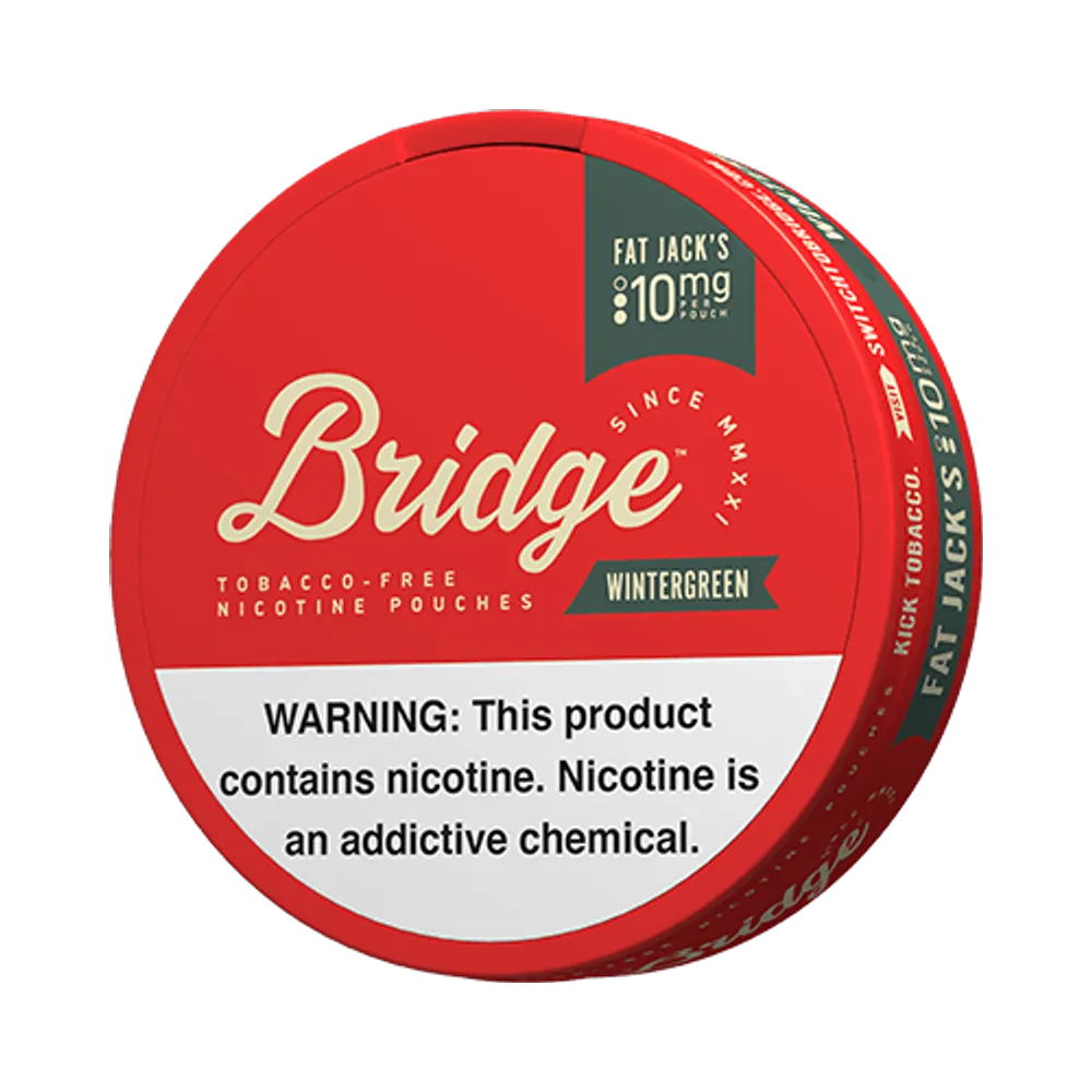 Bridge Wintergreen 10mg - Vinapouches